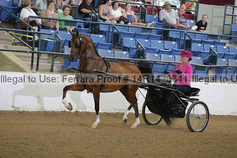 Proof 14r14_3341