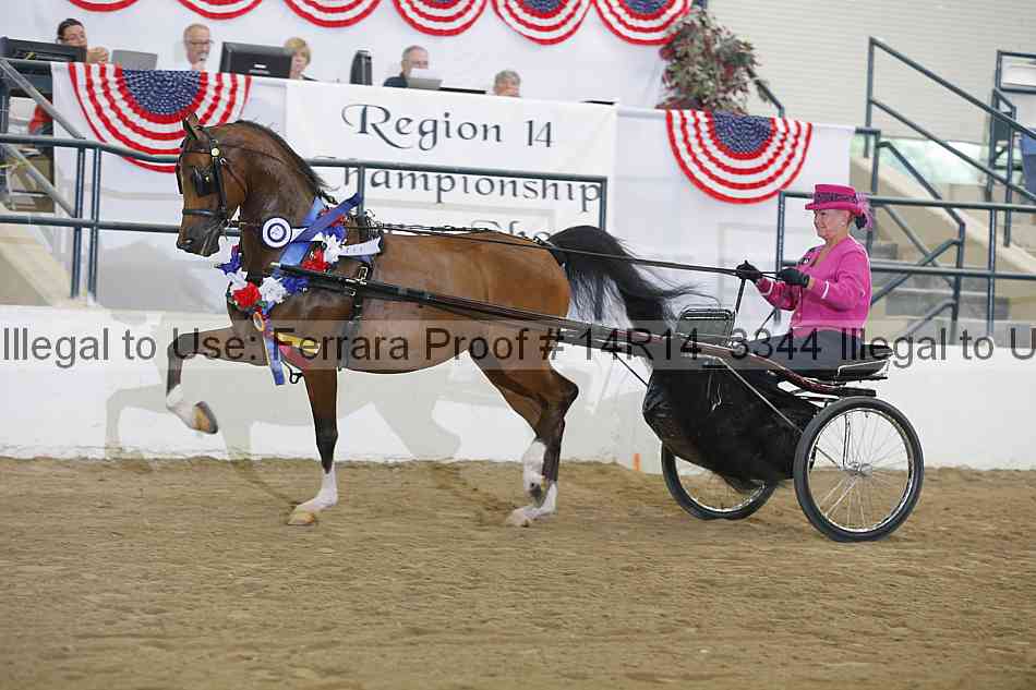 Proof 14r14_3344