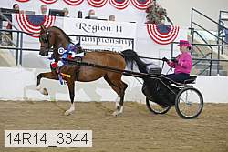 14r14_3344 proof