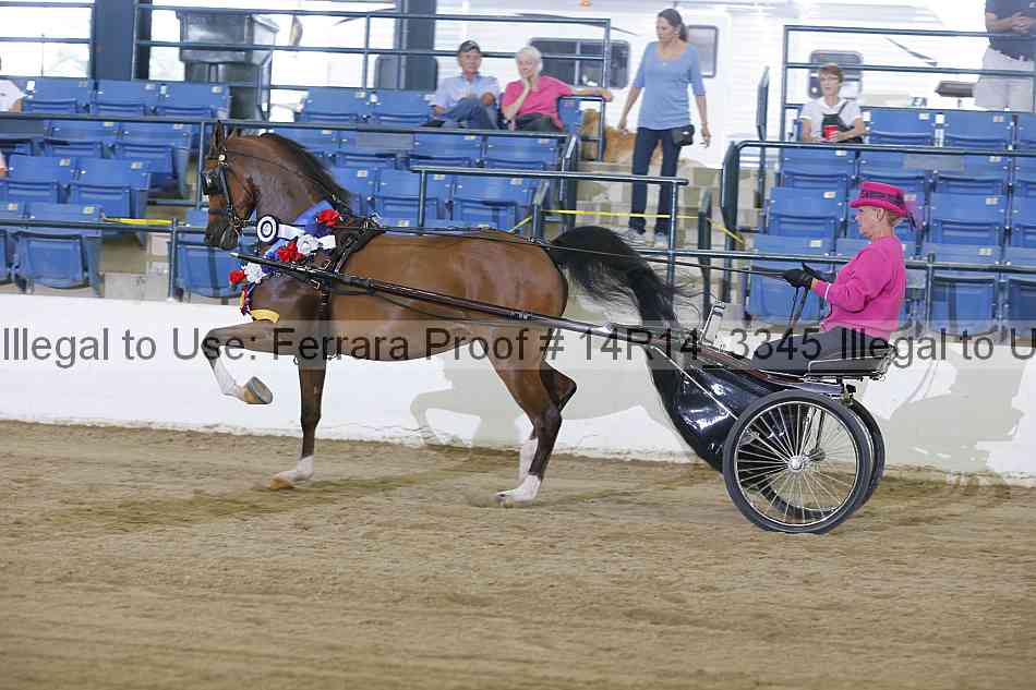 Proof 14r14_3345