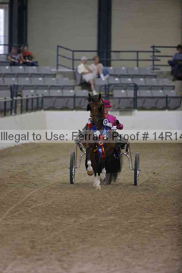Proof 14r14_3346