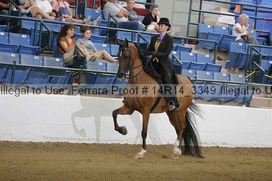 Proof 14r14_3349