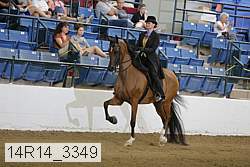 14r14_3349 proof