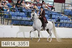 14r14_3351 proof