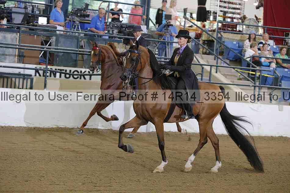 Proof 14r14_3354