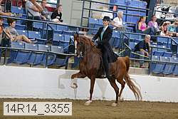 14r14_3355 proof
