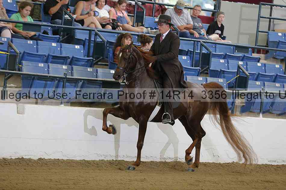 Proof 14r14_3356
