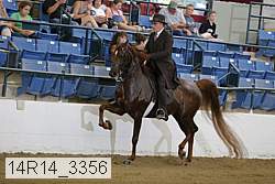 14r14_3356 proof