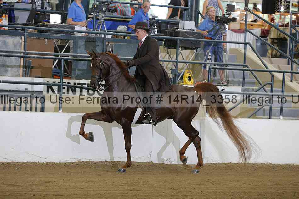 Proof 14r14_3358