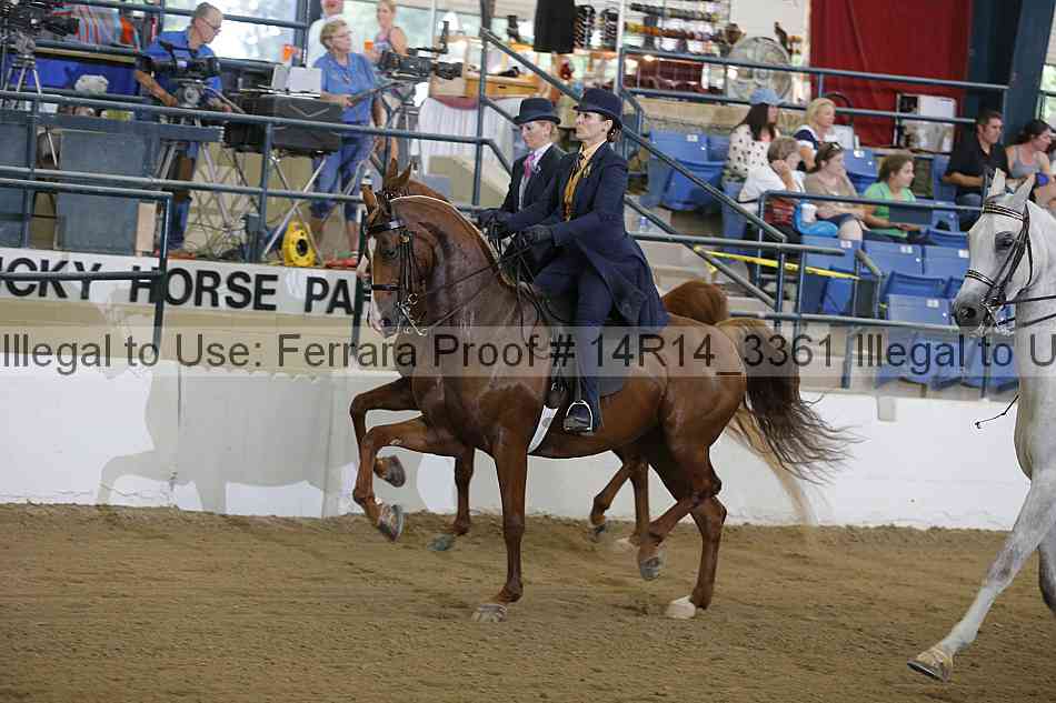 Proof 14r14_3361