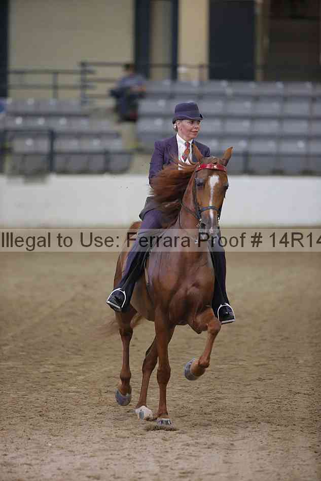 Proof 14r14_3362