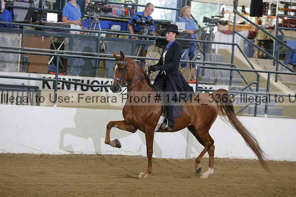 Proof 14r14_3363
