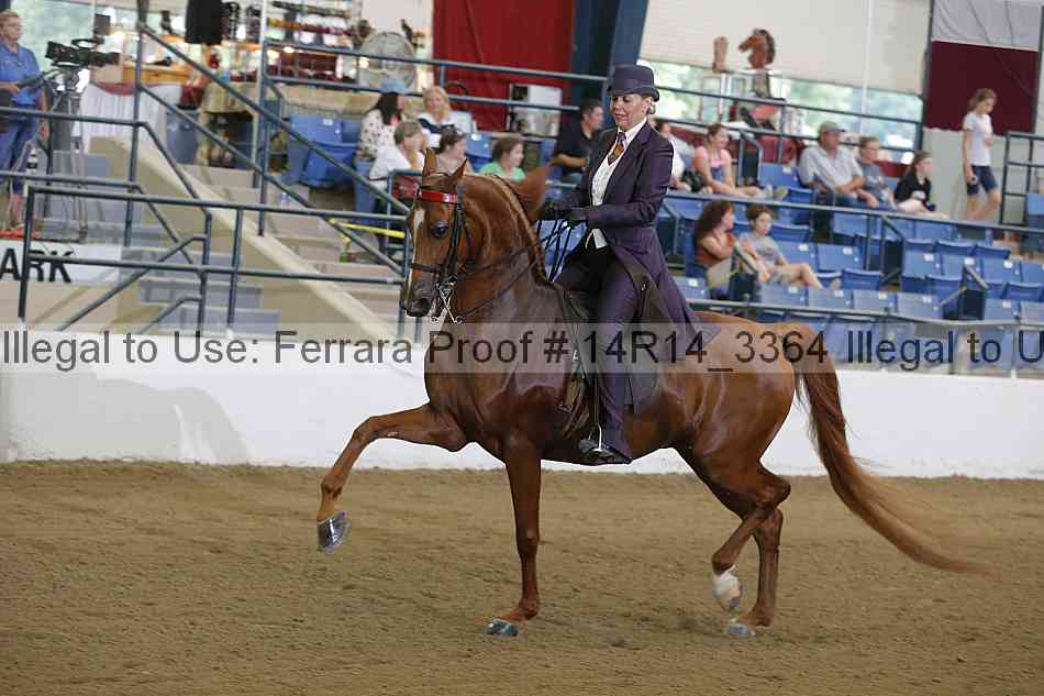Proof 14r14_3364