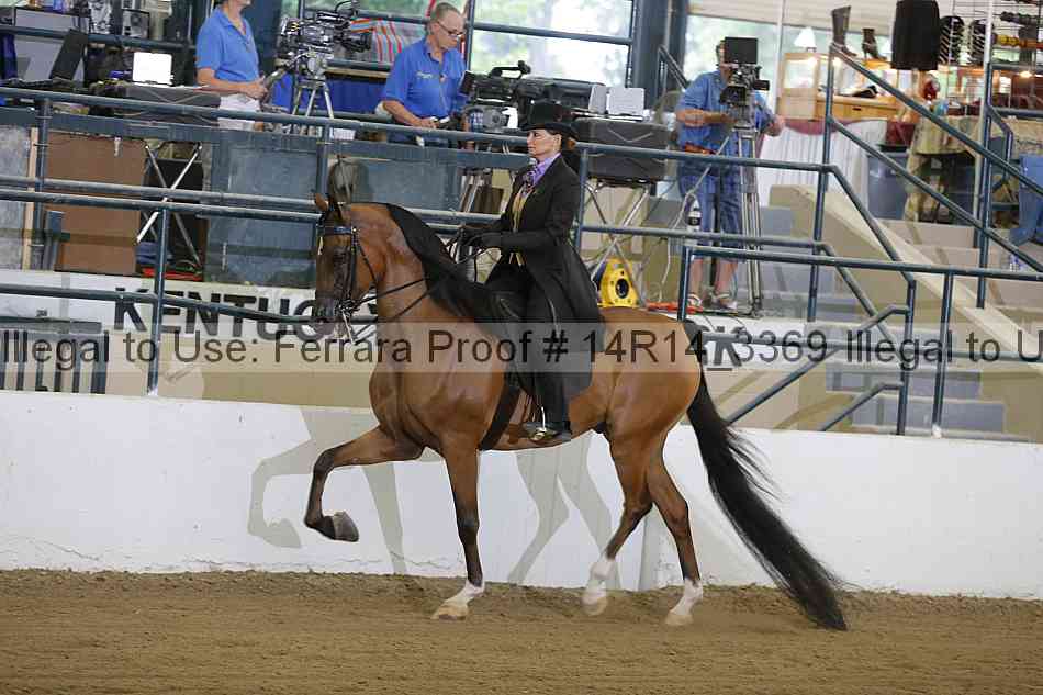 Proof 14r14_3369