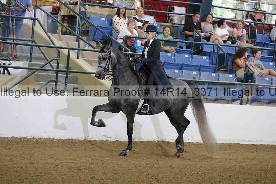 Proof 14r14_3371