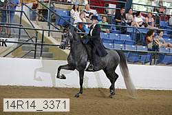 14r14_3371 proof
