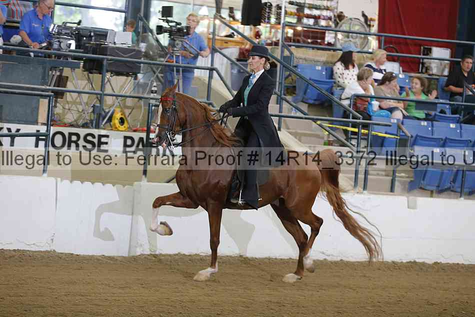 Proof 14r14_3372
