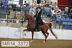 14r14_3372 proof
