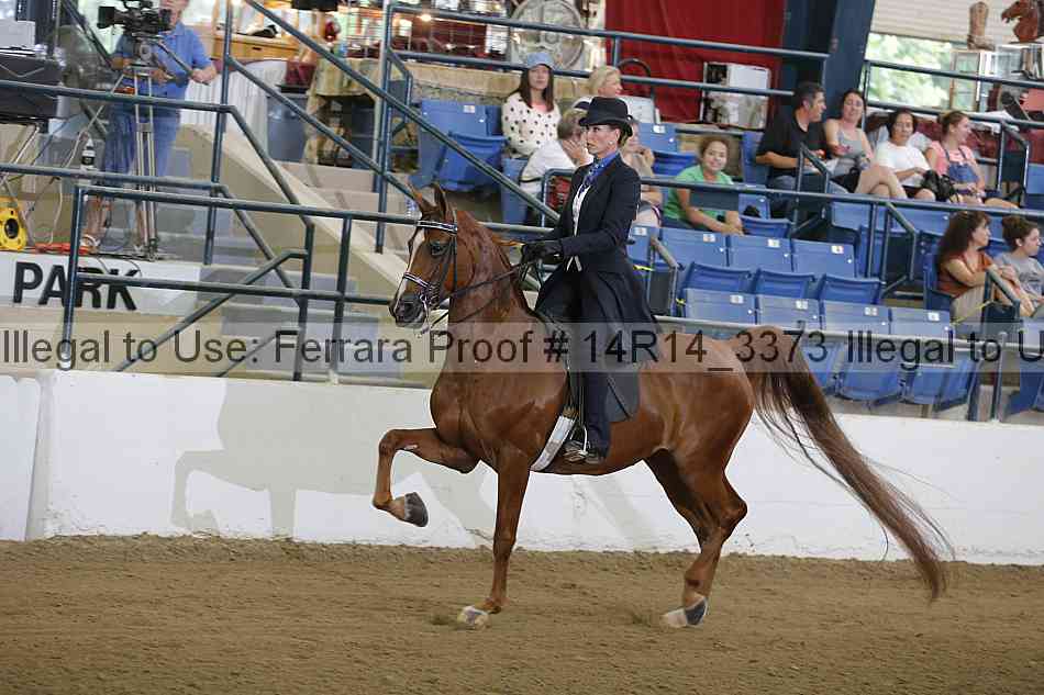Proof 14r14_3373