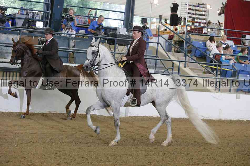 Proof 14r14_3374