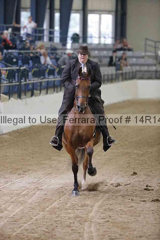 Proof 14r14_3376