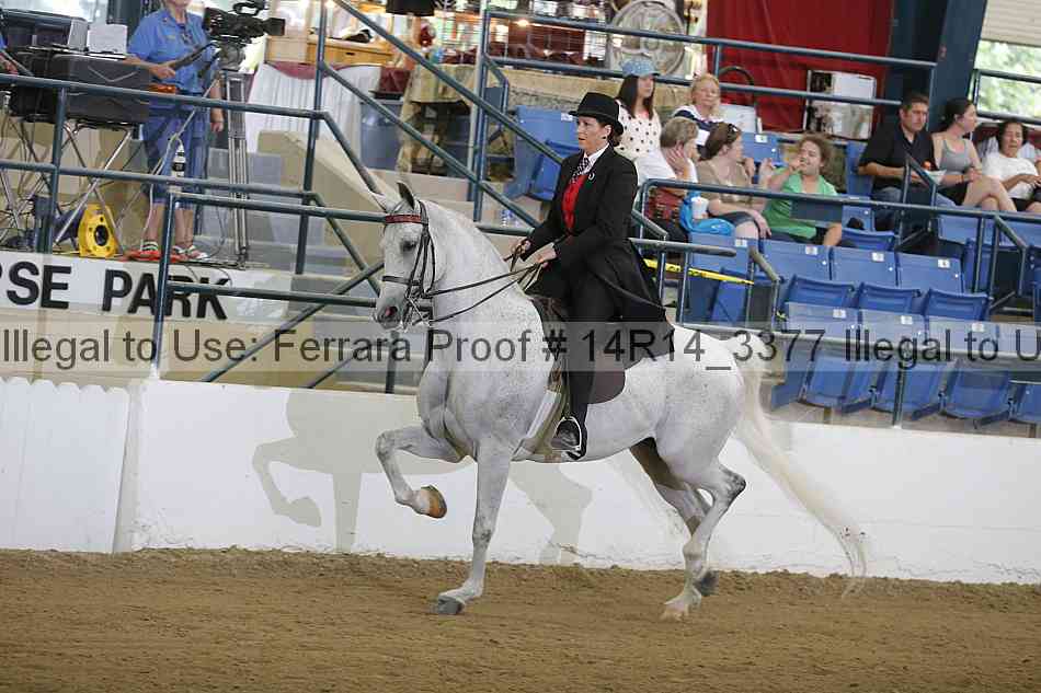 Proof 14r14_3377