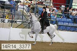 14r14_3377 proof