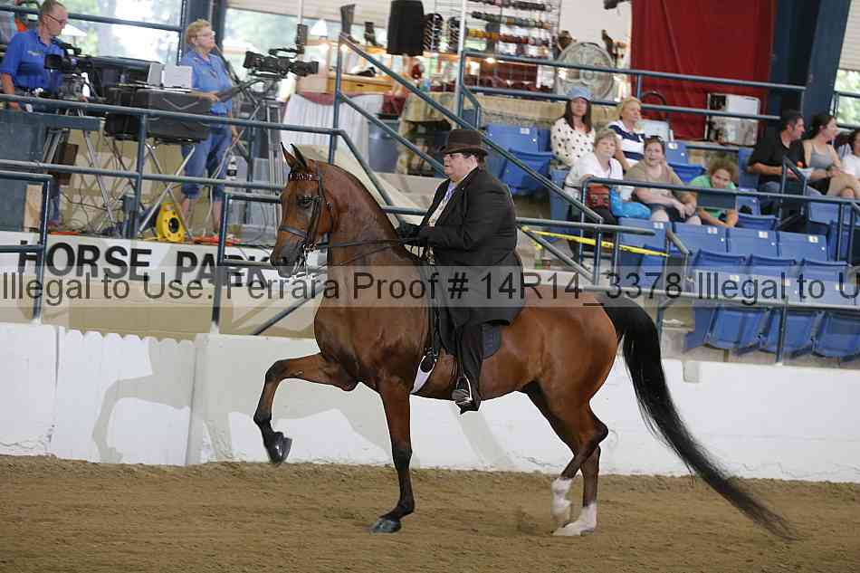 Proof 14r14_3378