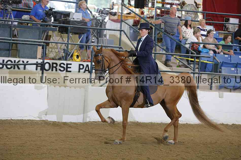 Proof 14r14_3380