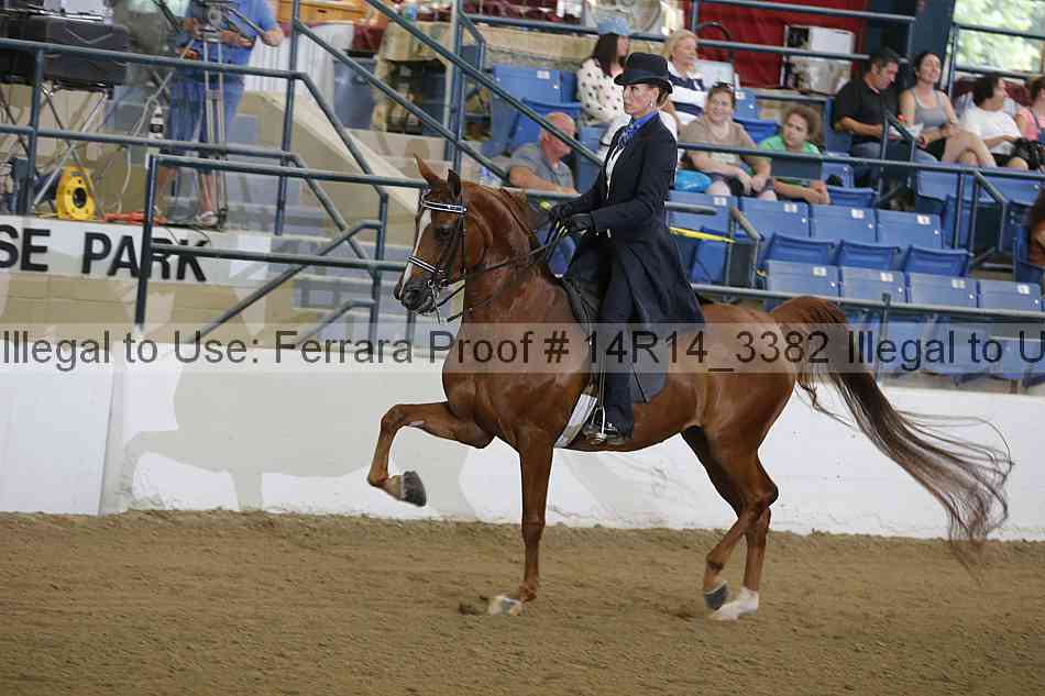 Proof 14r14_3382