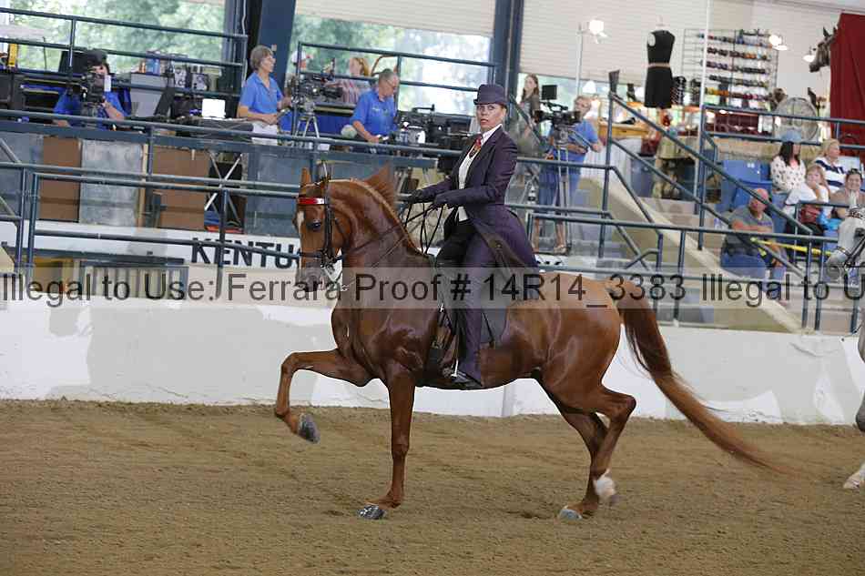 Proof 14r14_3383