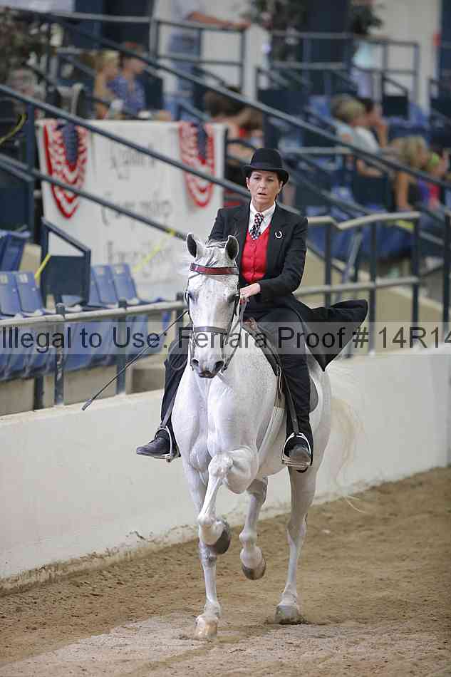 Proof 14r14_3384