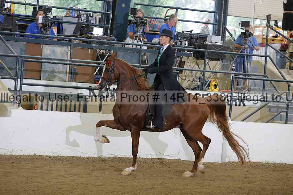 Proof 14r14_3385