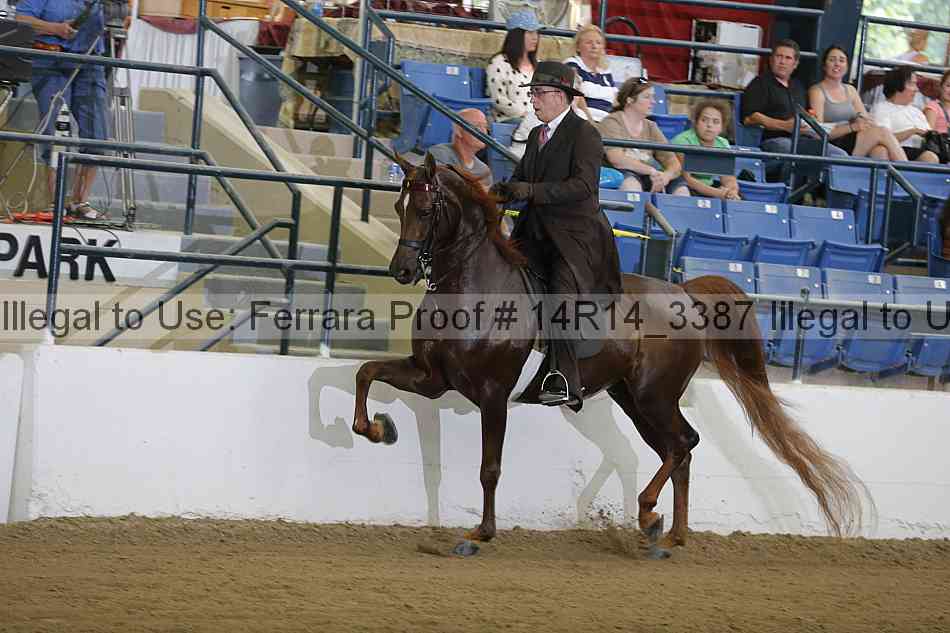 Proof 14r14_3387
