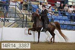 14r14_3387 proof