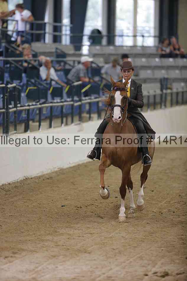 Proof 14r14_3388
