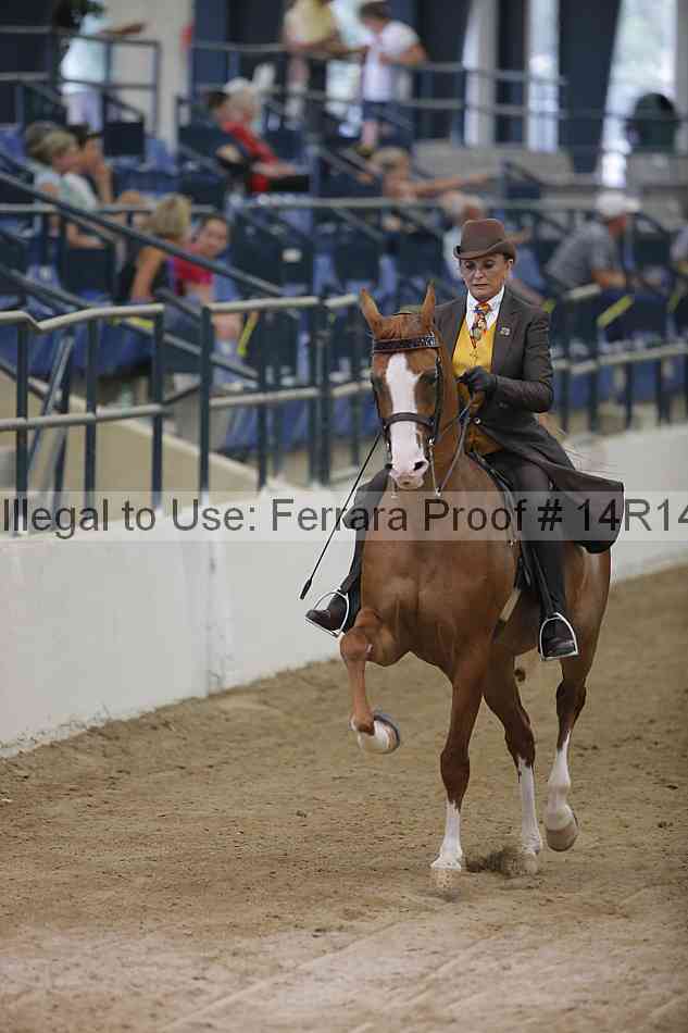 Proof 14r14_3389