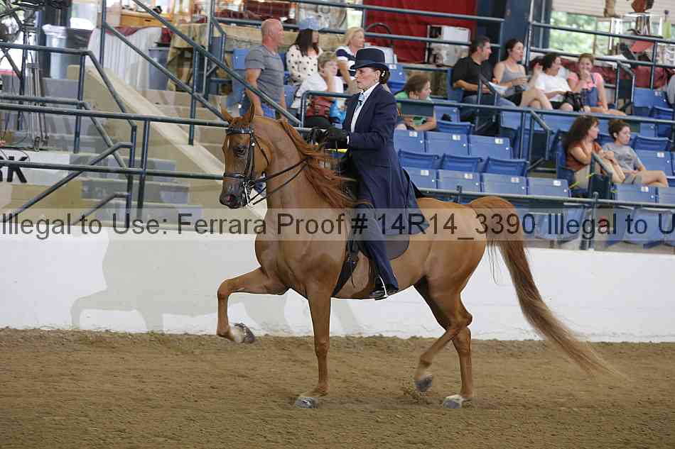 Proof 14r14_3390