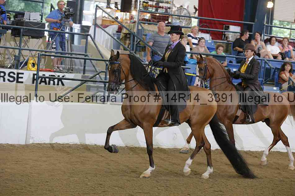 Proof 14r14_3391
