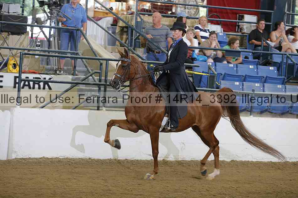 Proof 14r14_3392