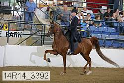 14r14_3392 proof