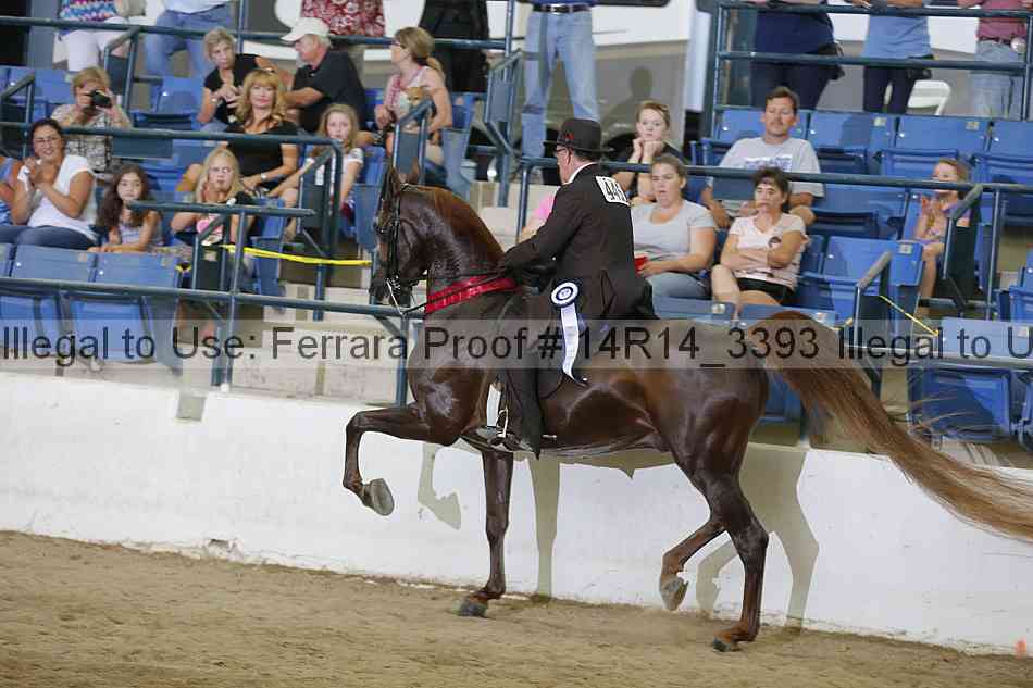 Proof 14r14_3393
