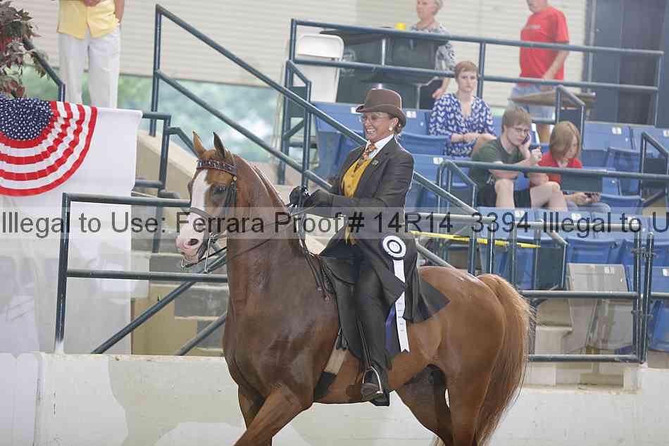 Proof 14r14_3394