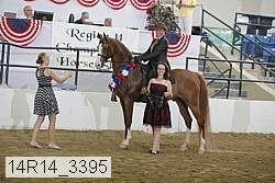14r14_3395 proof