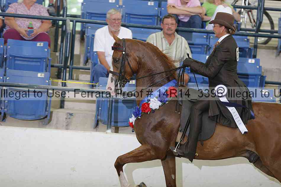 Proof 14r14_3396