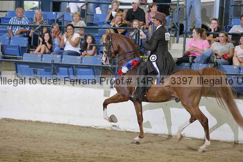 Proof 14r14_3397