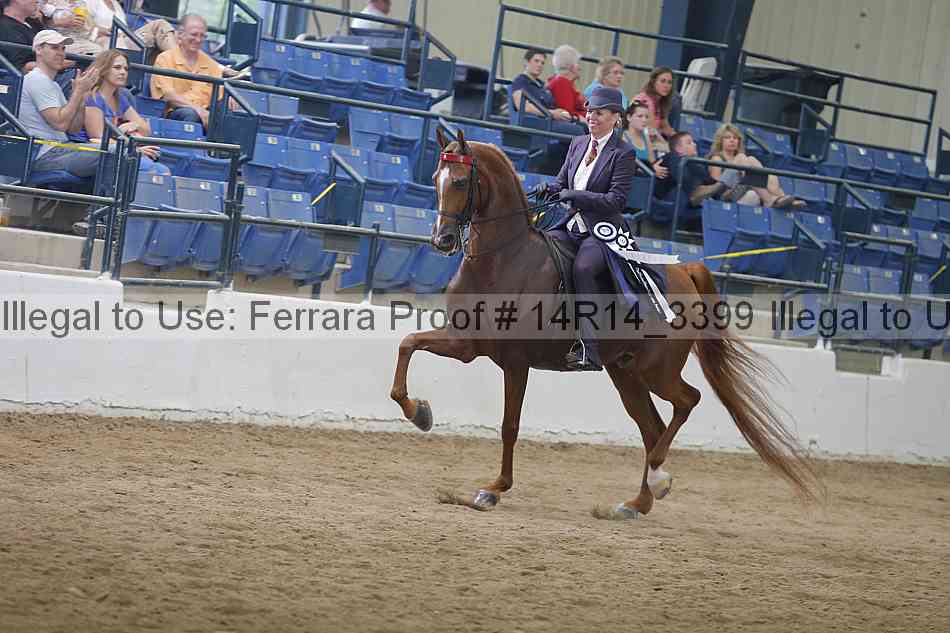 Proof 14r14_3399