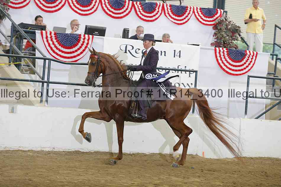 Proof 14r14_3400
