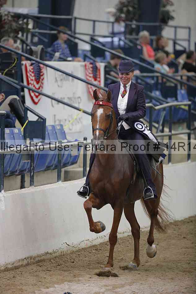 Proof 14r14_3401
