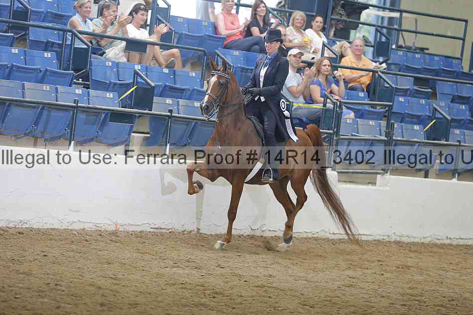 Proof 14r14_3402